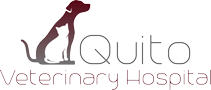 Quito Veterinary Hospital